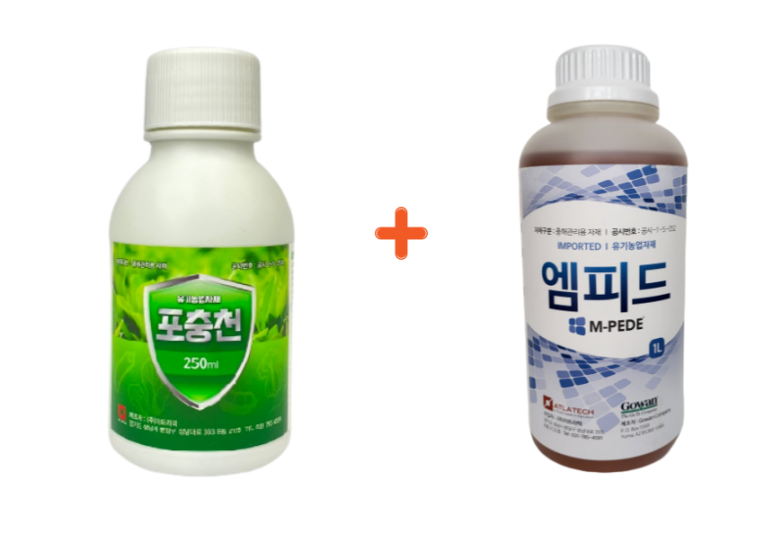 엠피드 이미지