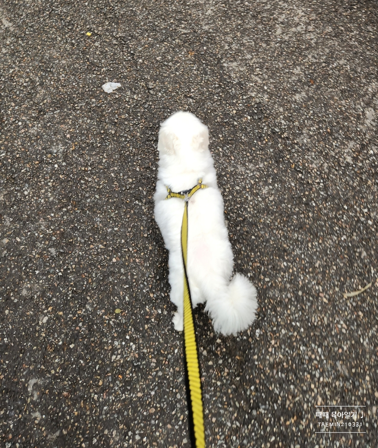 성원장 이미지
