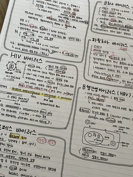 가윤수선 이미지