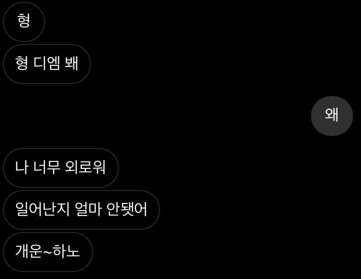 미미주 이미지