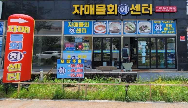 자매물회 이미지