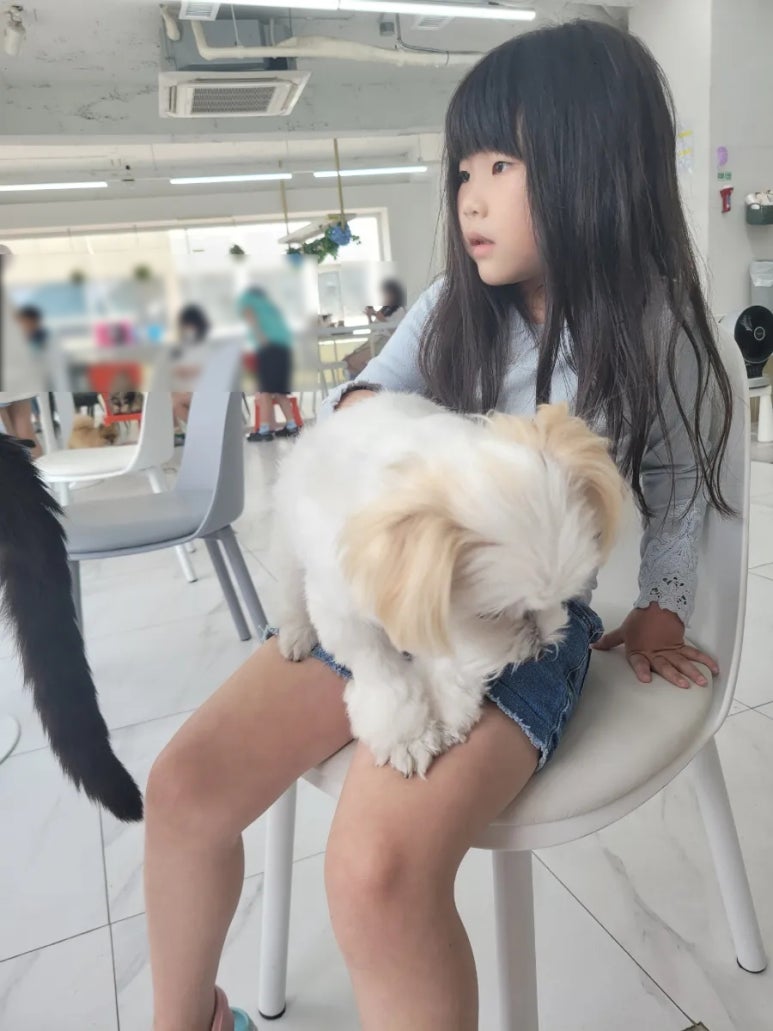 애견카페 포 이미지