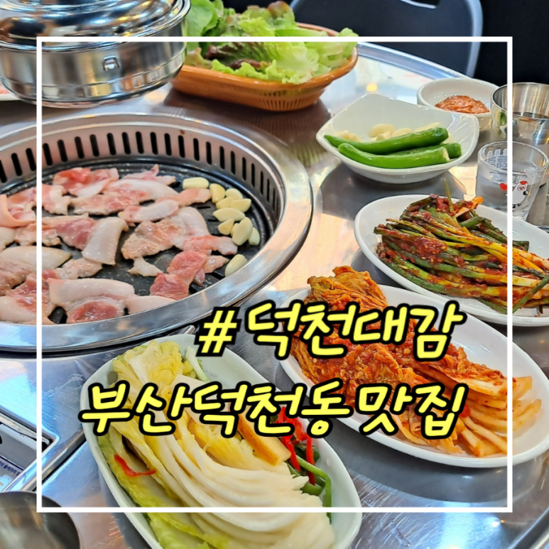 덕천대감 이미지