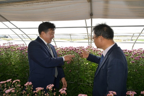 국화통신 이미지