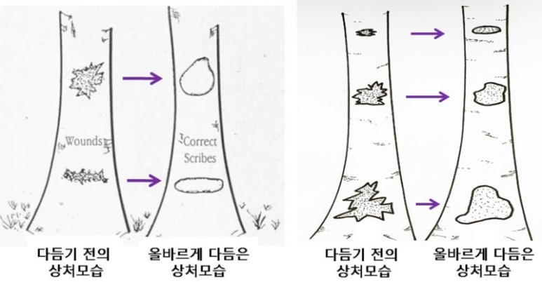 조경관리 이미지