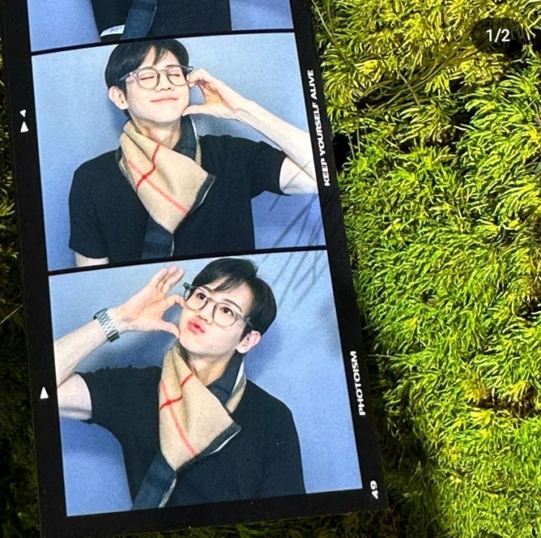 포토이즘컬러드 이미지