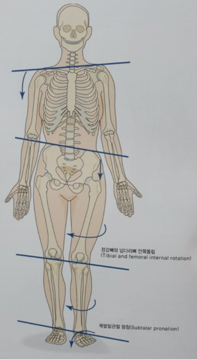 바디마스터짐 이미지