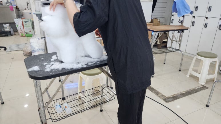 김성균애견미용학원 이미지