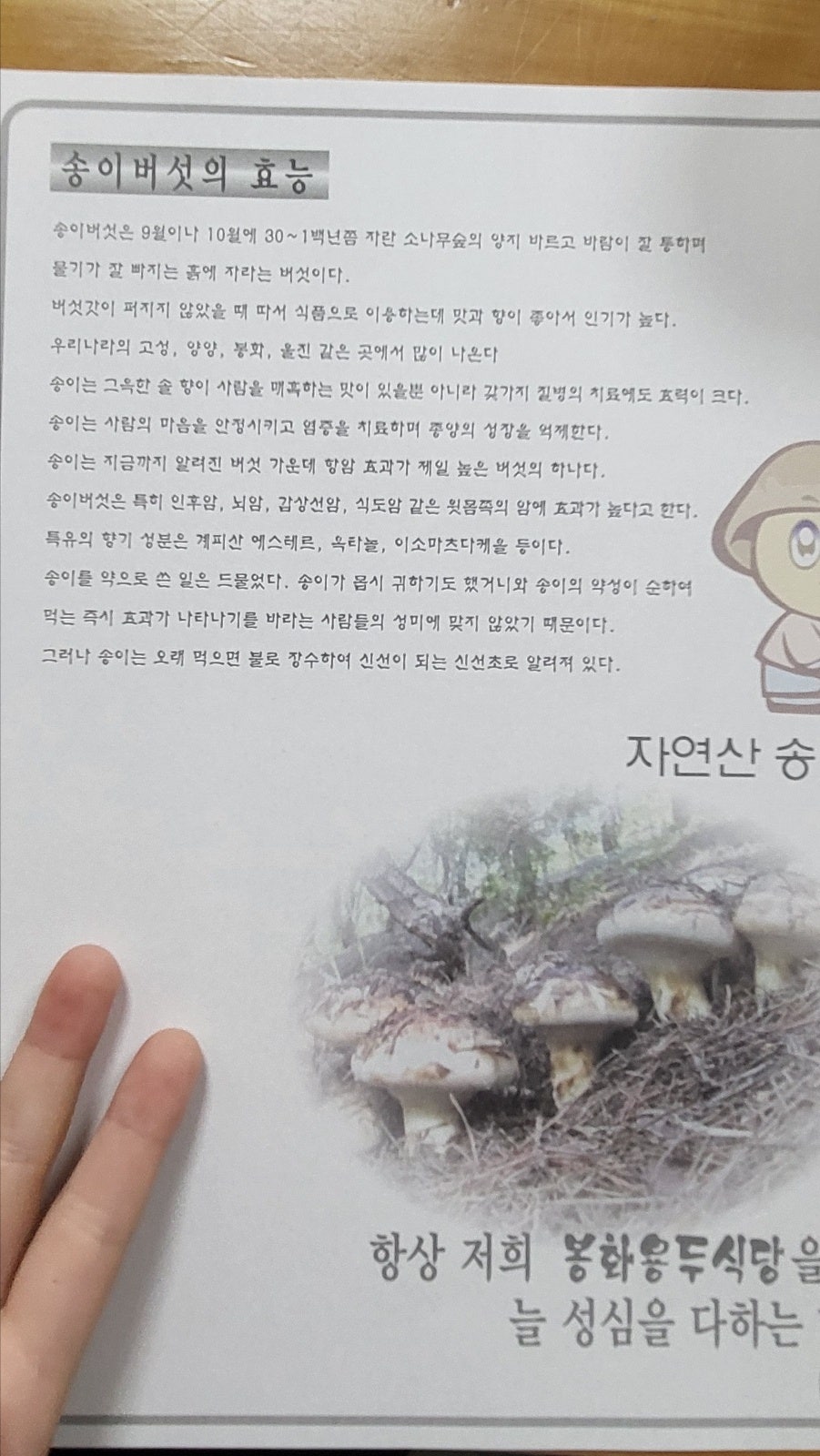 용두식당 이미지