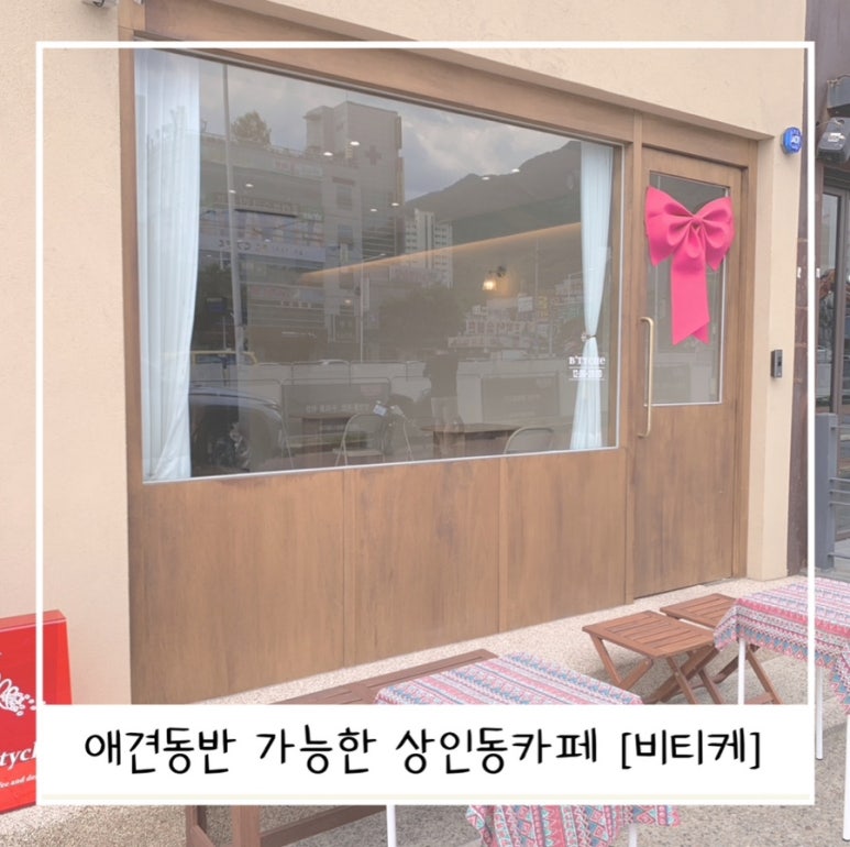 비티케 이미지