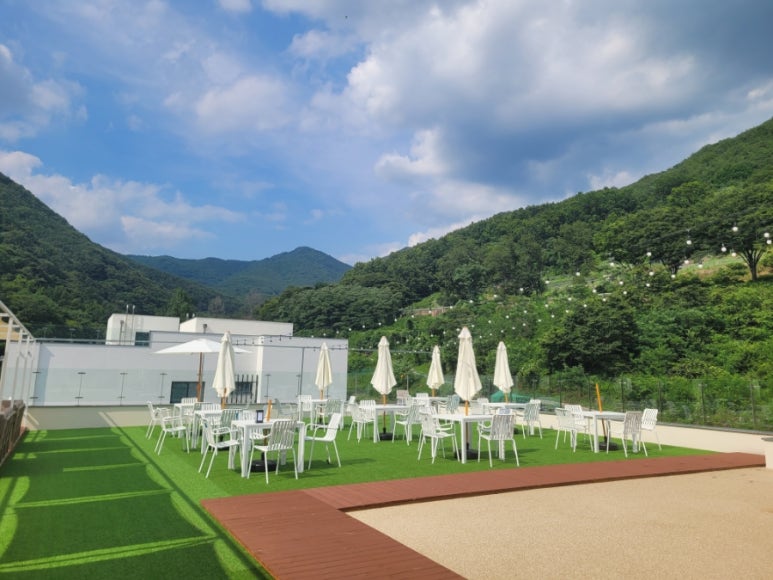 헤세디온 이미지