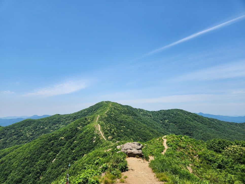 원적산 정상 이미지