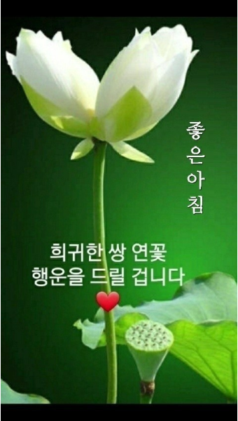만석민박 이미지