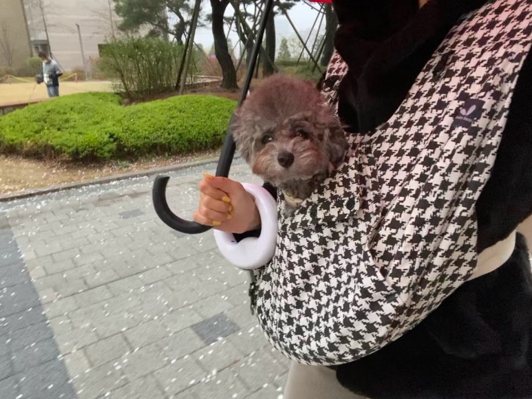 네일.나랑노랑 이미지
