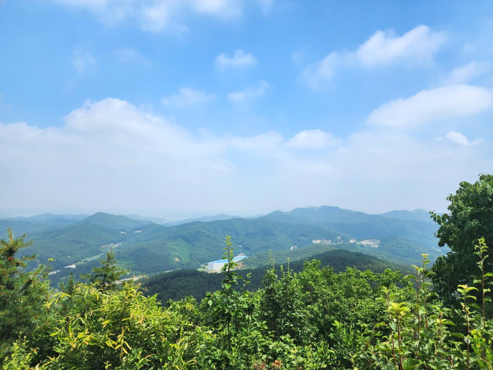 고성산 정상 전망대 이미지