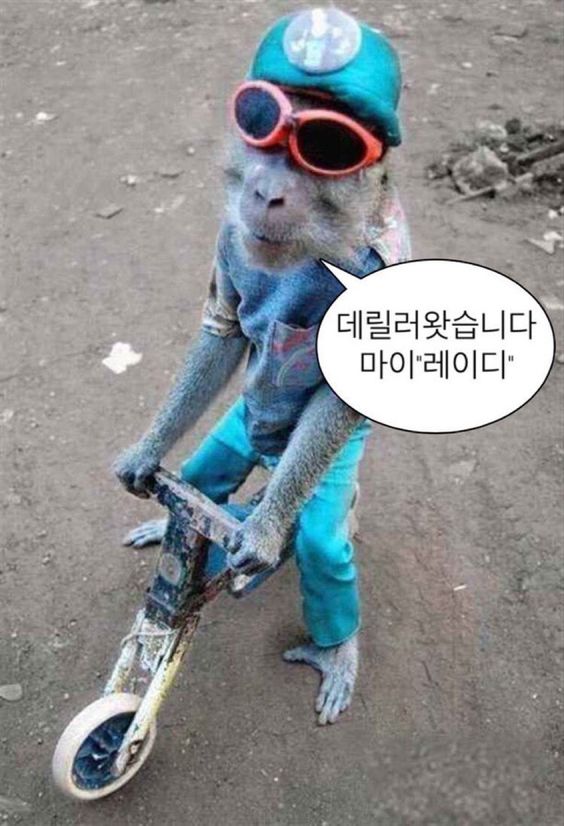 부루앤주디 이미지