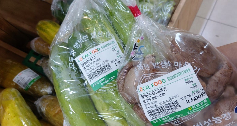 사자마트 이미지