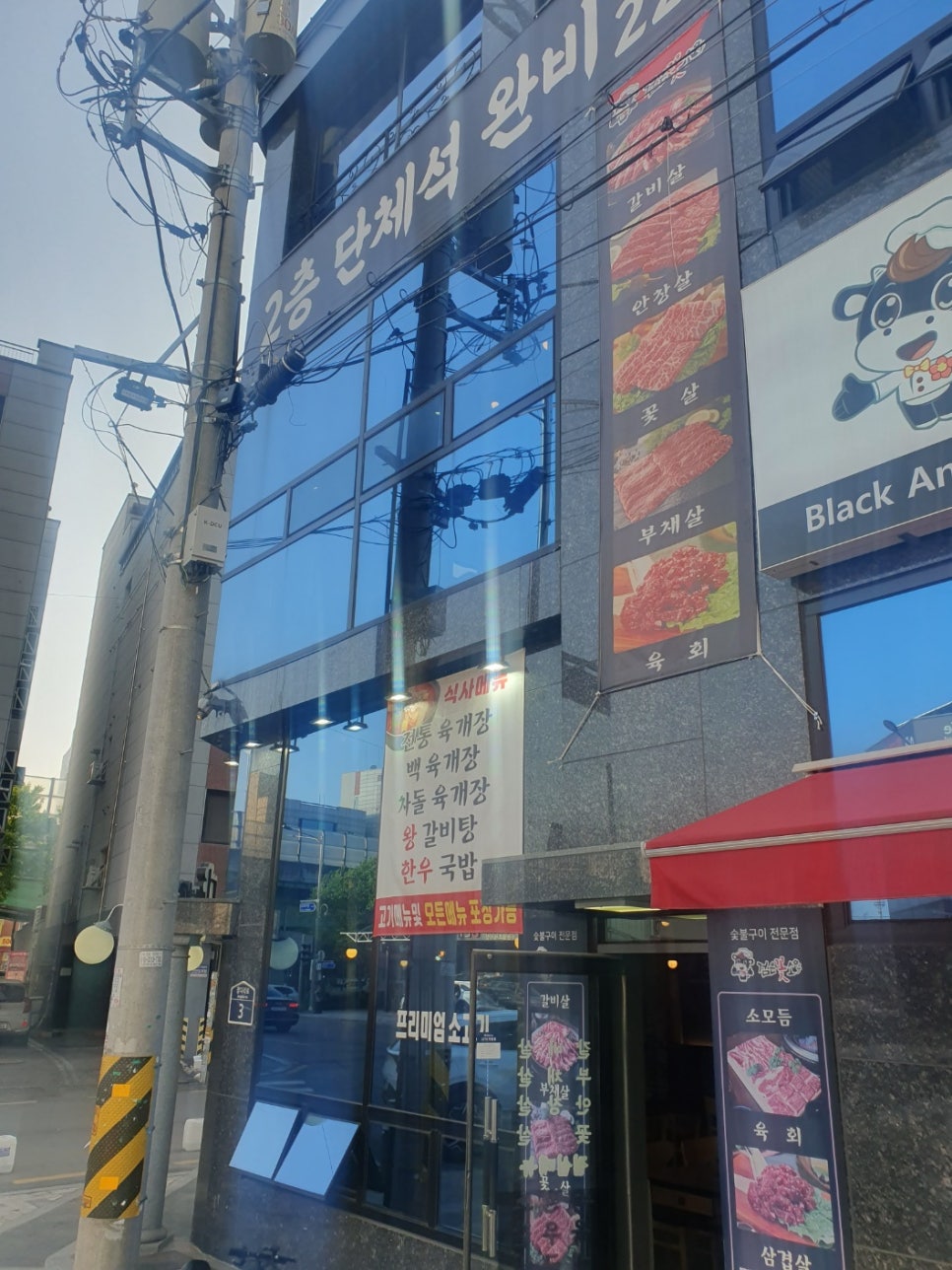 검은꽃소 이미지