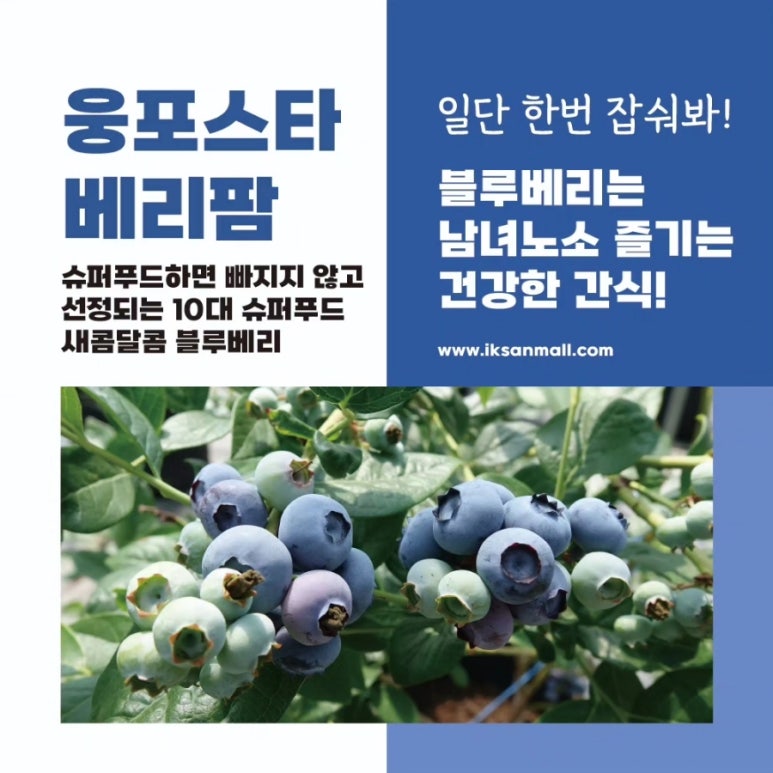 스타베리팜 이미지