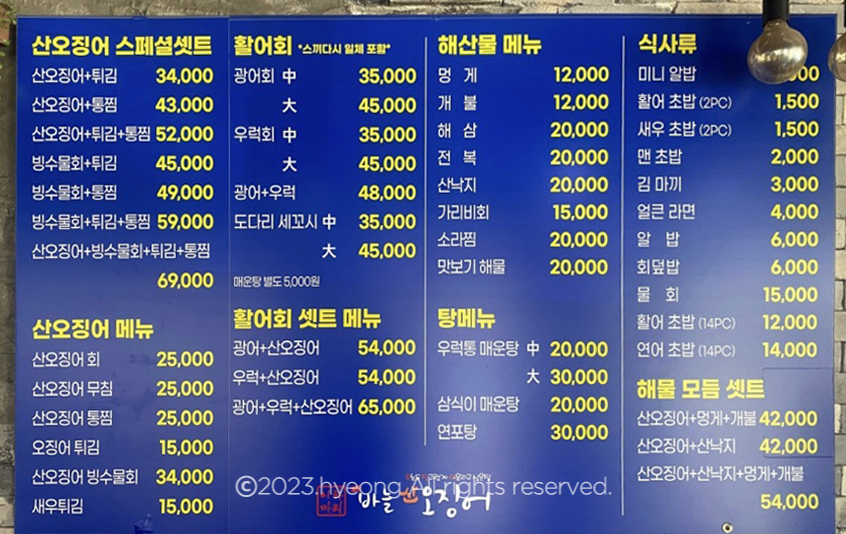 신가바늘산오징어 이미지