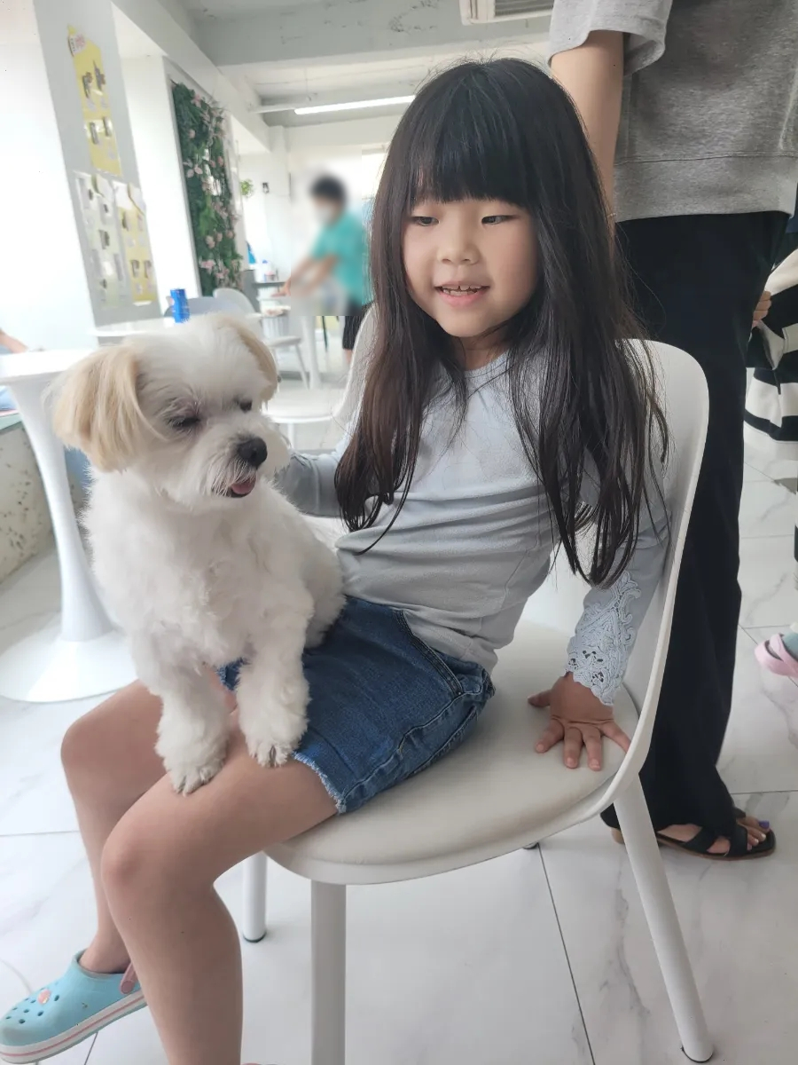 애견카페 포 이미지