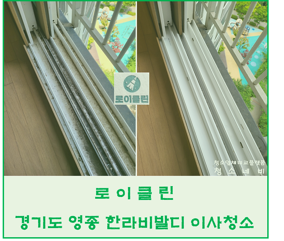 로이클린 이미지