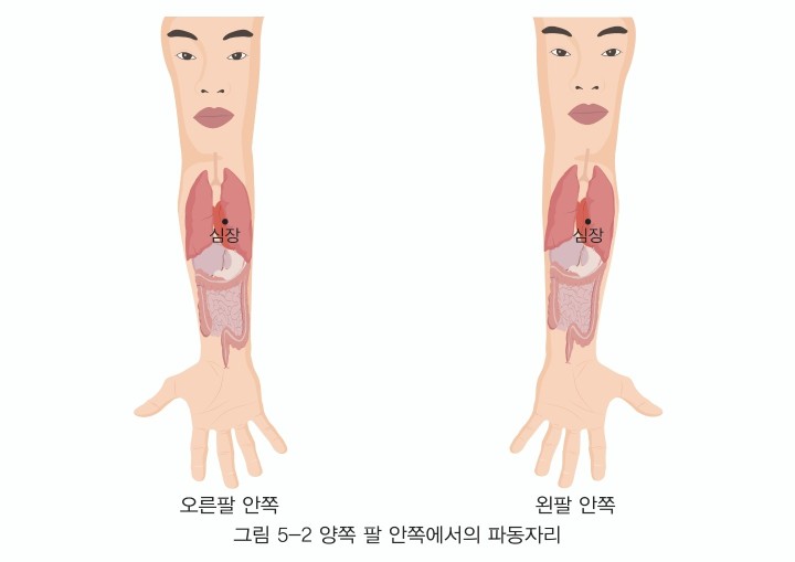 종부테라피 이미지