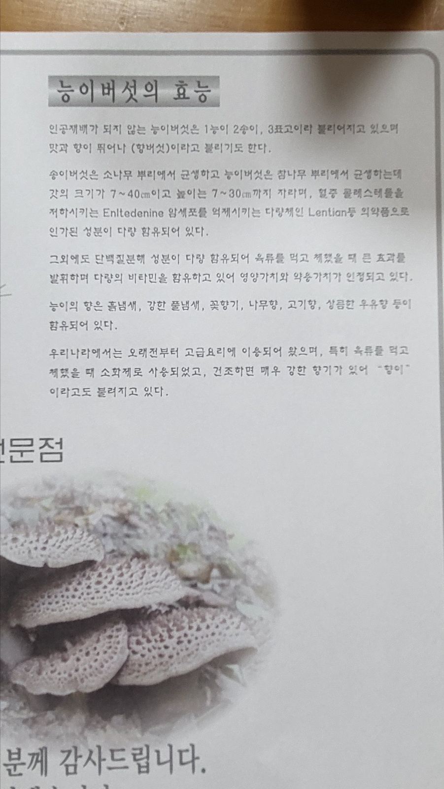 용두식당 이미지