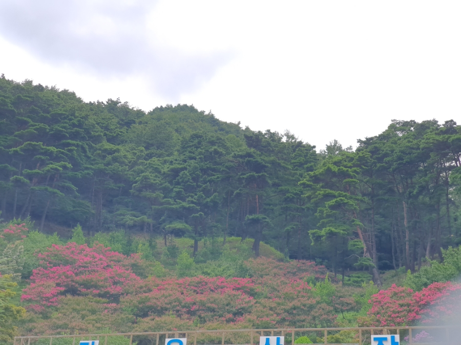 맑은산장농원 이미지