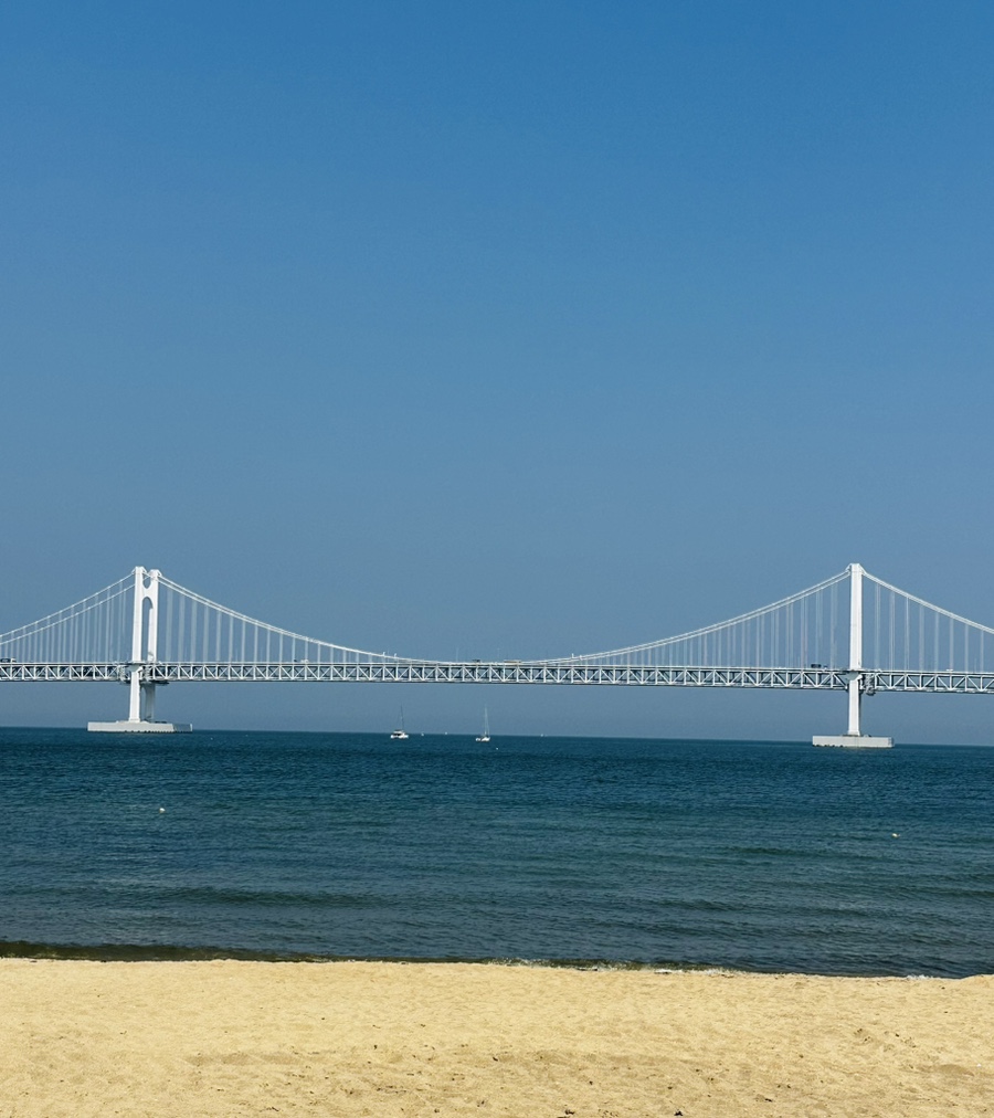 호랑이상점 이미지
