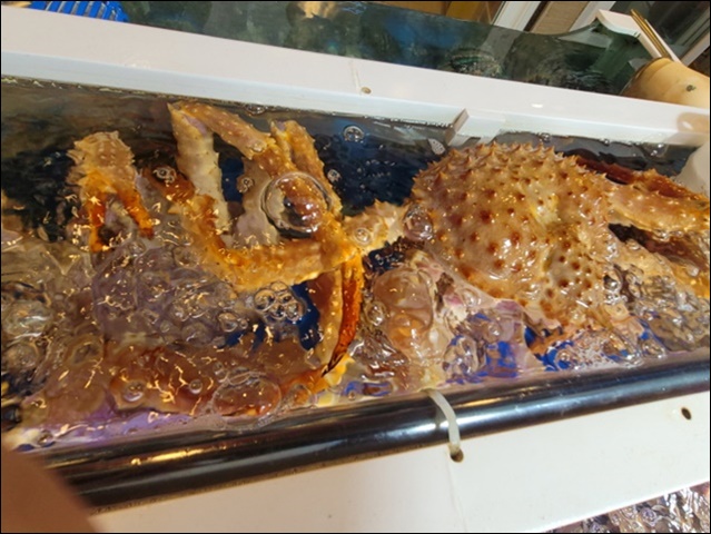 제일회센타 이미지
