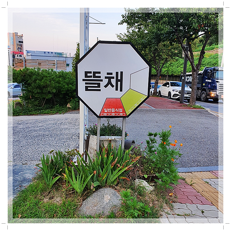 목포낙지 이미지