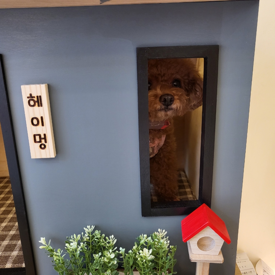 24시무인셀프카페 이미지