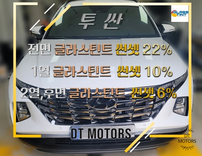디티모터스 이미지
