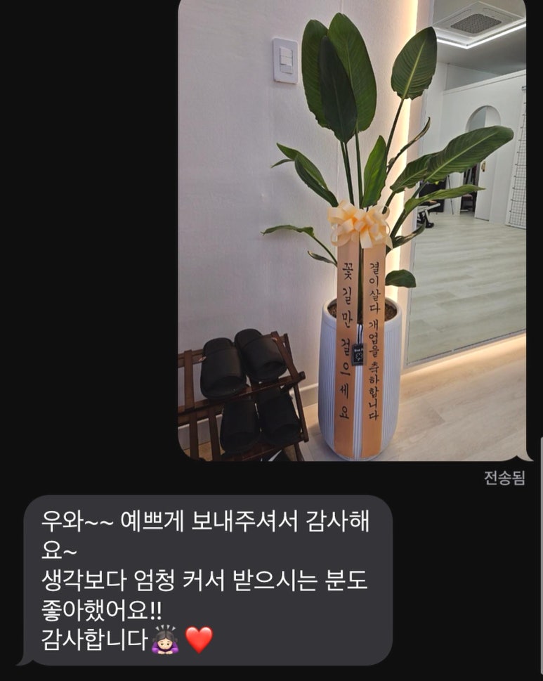 플로제 이미지
