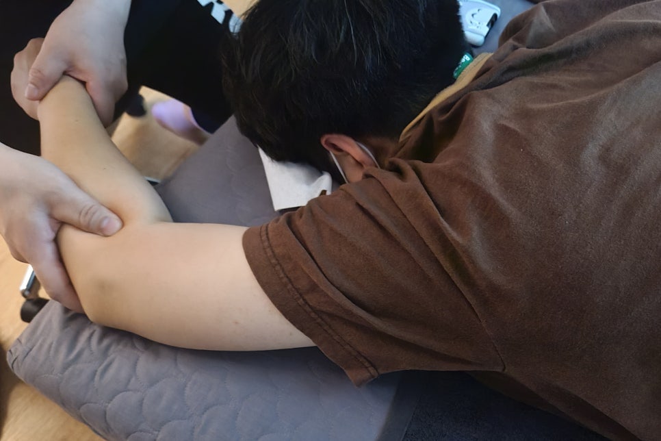 숲테라피 이미지