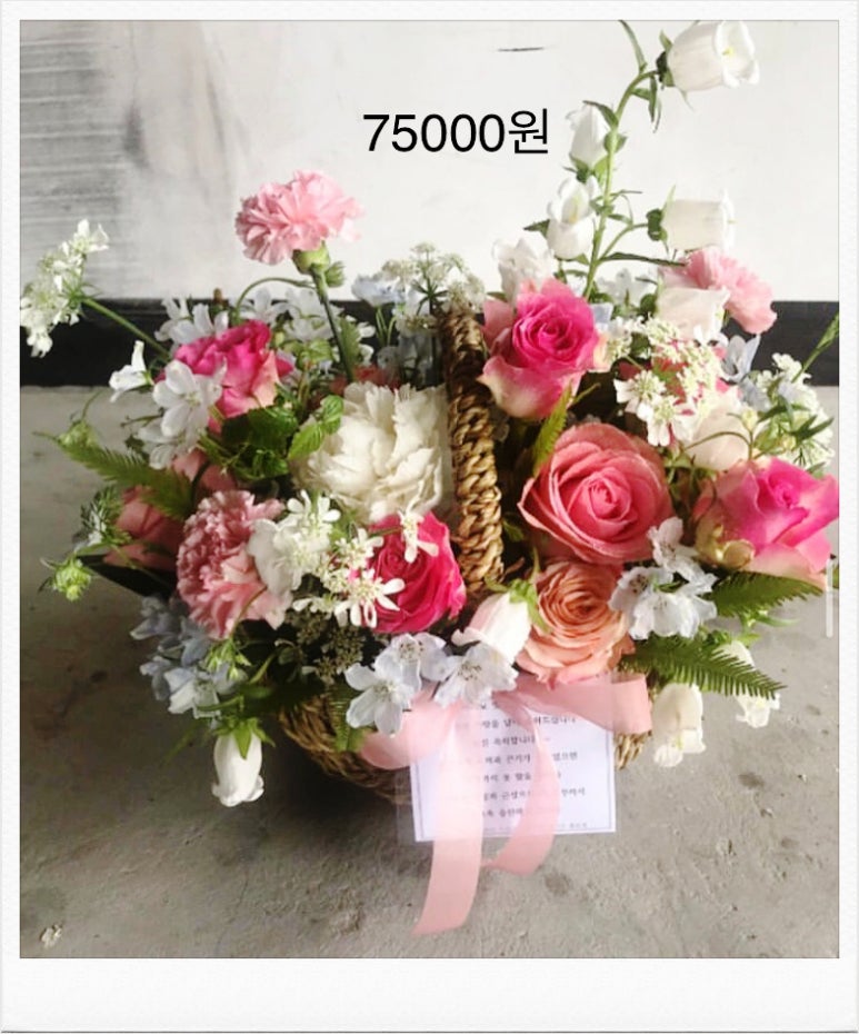 플로제 이미지