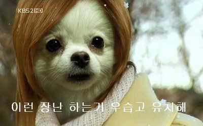 다올투어 이미지