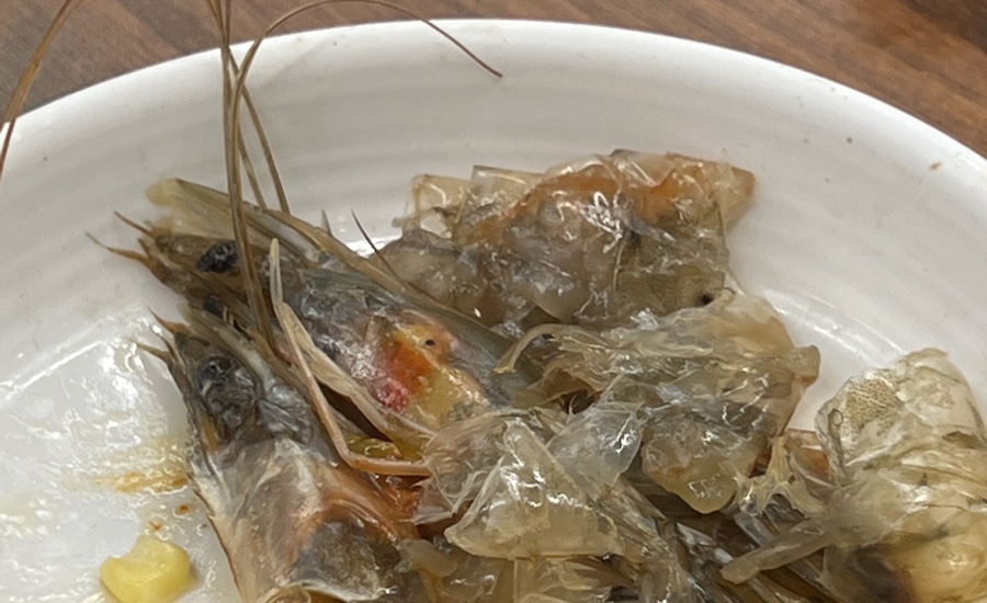 백년손님서서갈비청주점 이미지