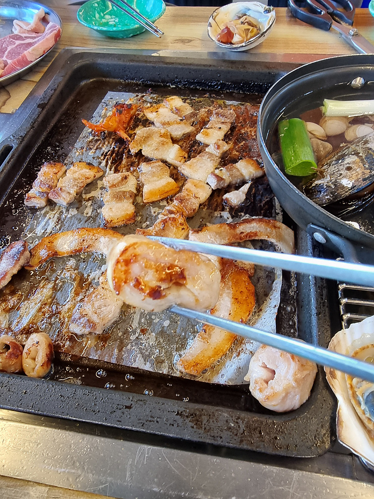 바다나무 이미지