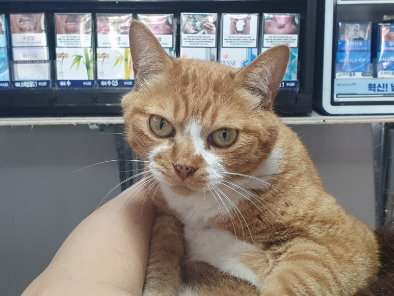 행운이용원 이미지