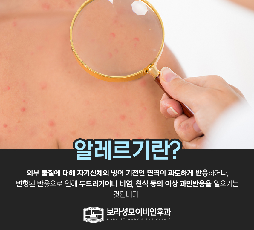 광진기전 이미지
