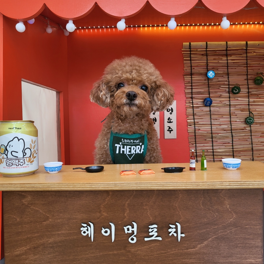 24시무인셀프카페 이미지