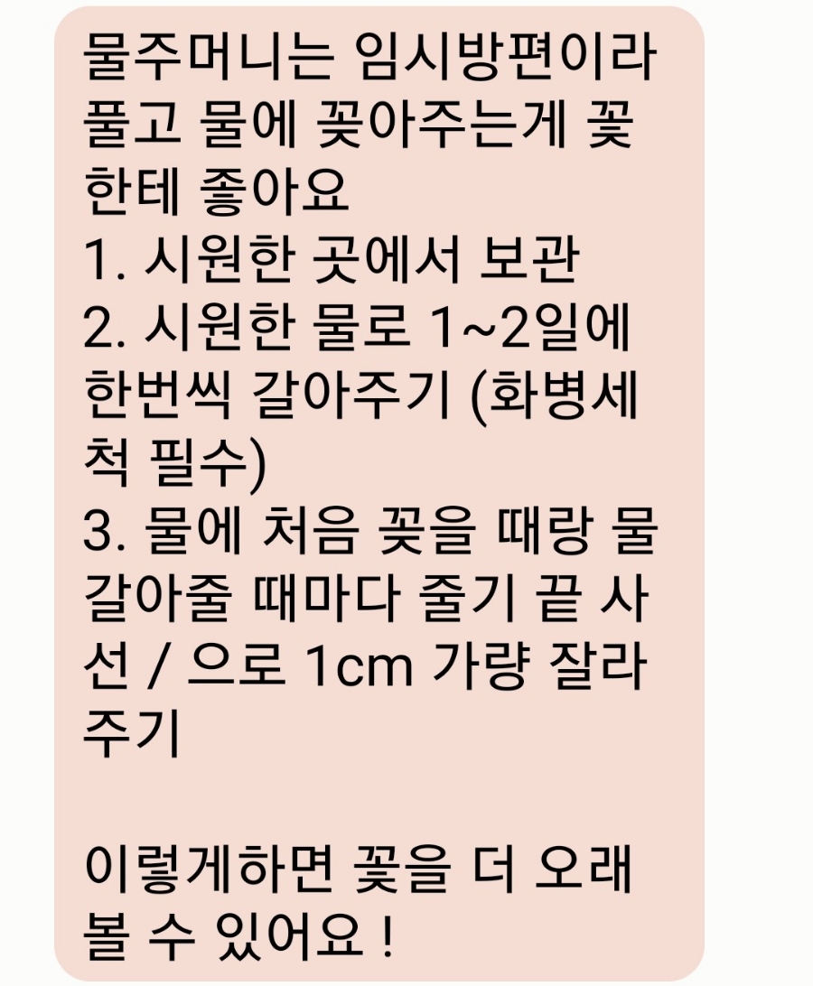 수니플레르 이미지