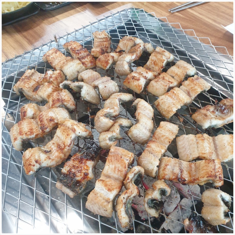 장어92 이미지