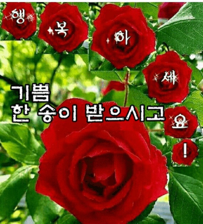 예쁜하루 이미지