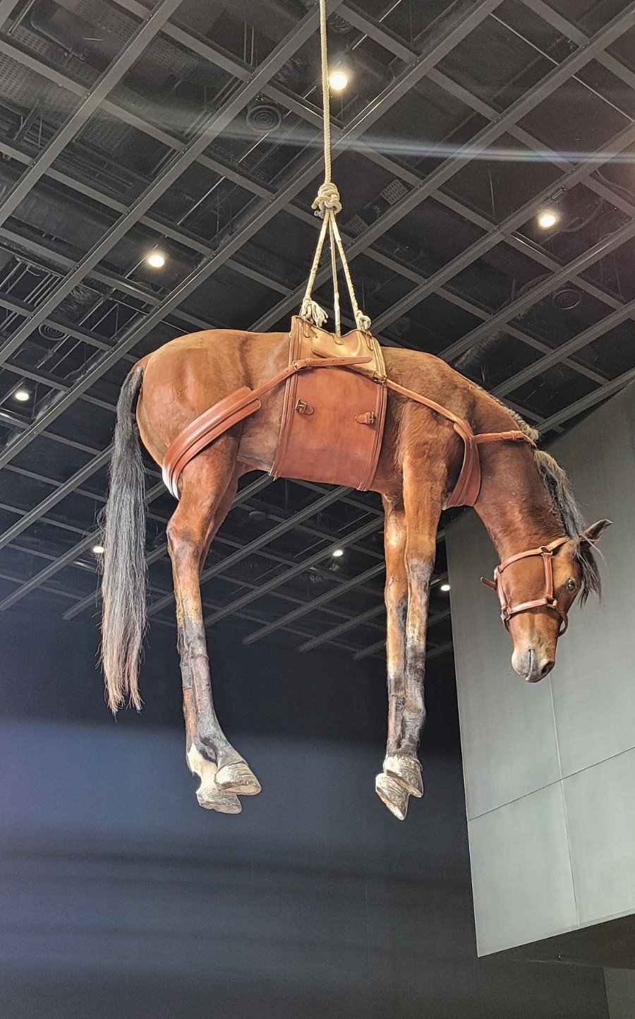 전진문화사 이미지