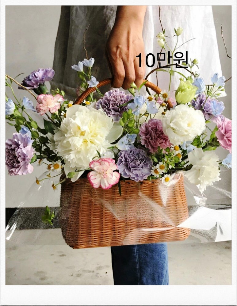 플로제 이미지