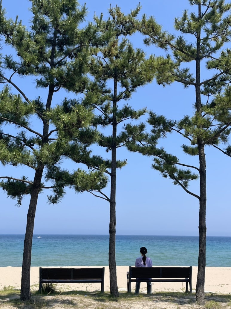 비에이치씨금진점 이미지