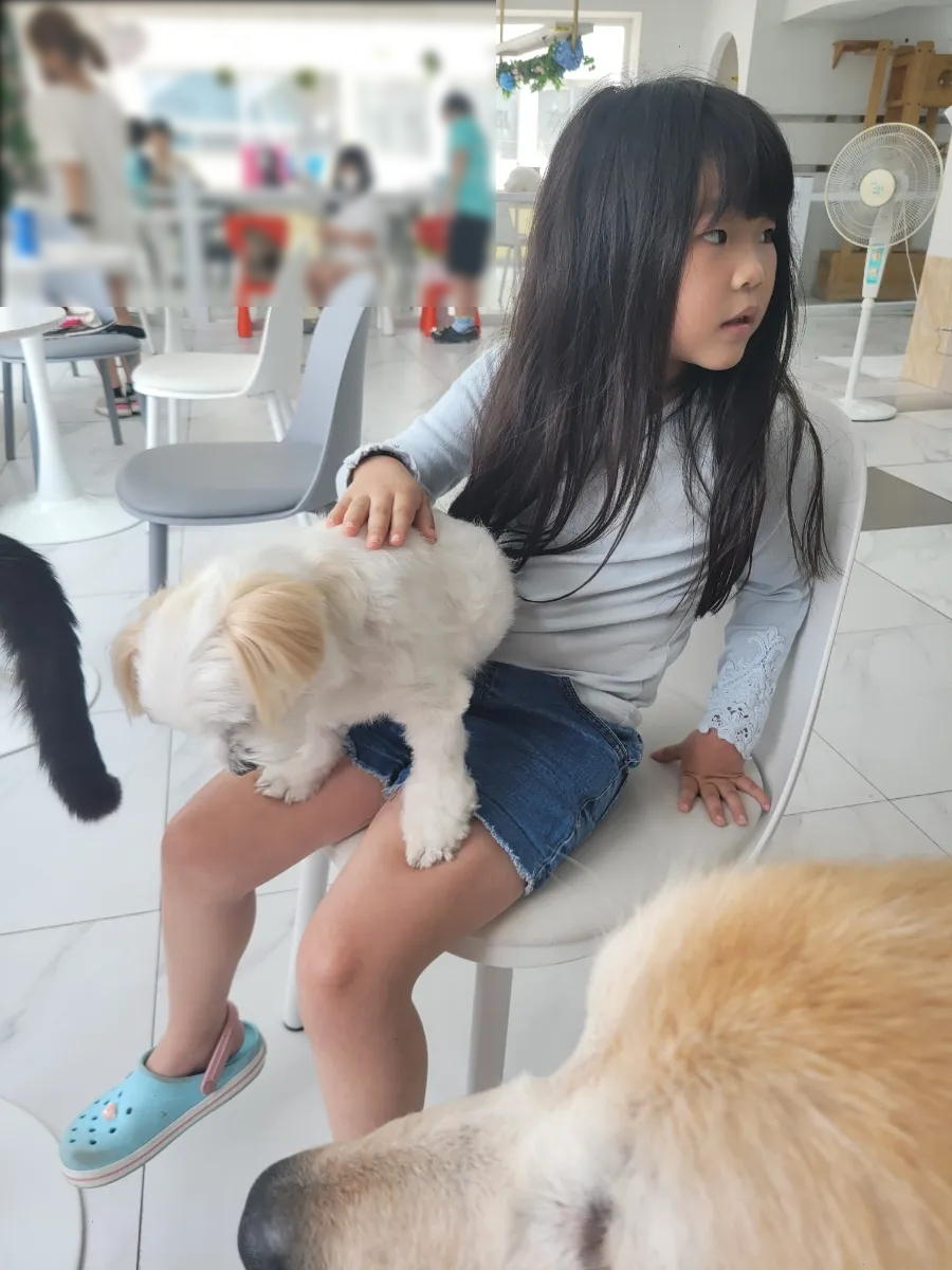 애견카페 포 이미지